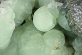 Prehnite Crystal Cluster on Matrix - Connecticut #90966-1